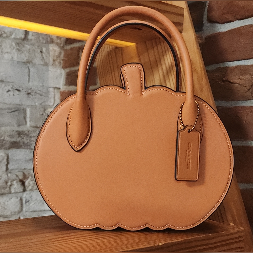 NWT Coach Pumpkin Bag